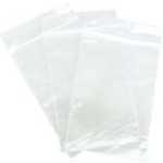Clear Plastic Bags 250x300mm (10x12") BS050L