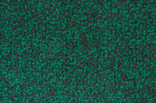 Lustre Mat 85x150cm Green